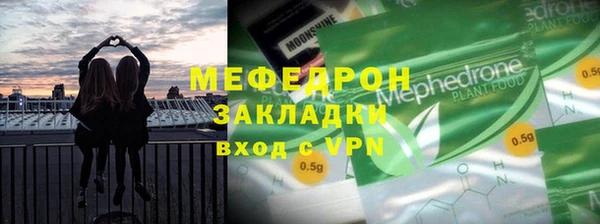 гидра Каменка