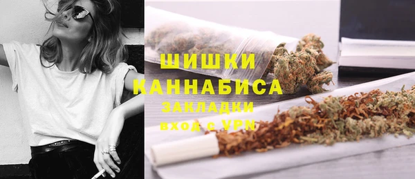 гидра Каменка