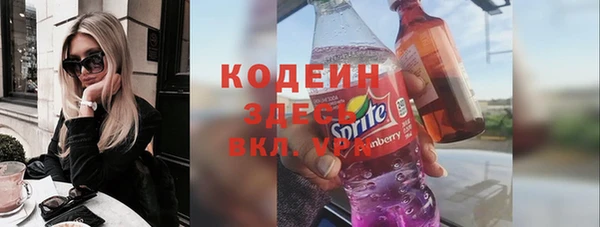 гидра Каменка