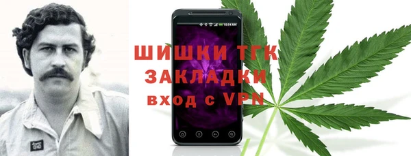 гидра Каменка