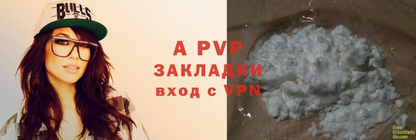 гидра Каменка