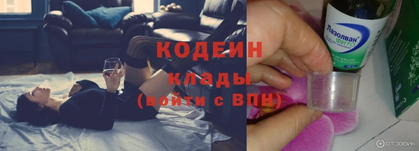 гидра Каменка