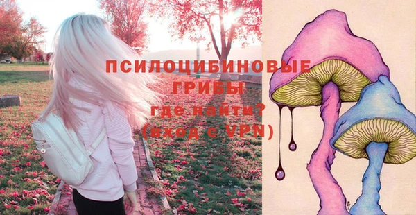 спайс Абинск