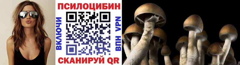 хочу   kraken вход  Псилоцибиновые грибы Psilocybine cubensis  Прокопьевск 
